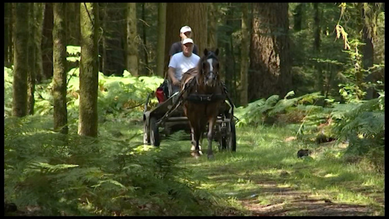 Bertrix : 4 jours de randonnée à la découverte de la Semois