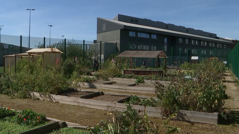 Marche-en-Famenne : un potager à la prison