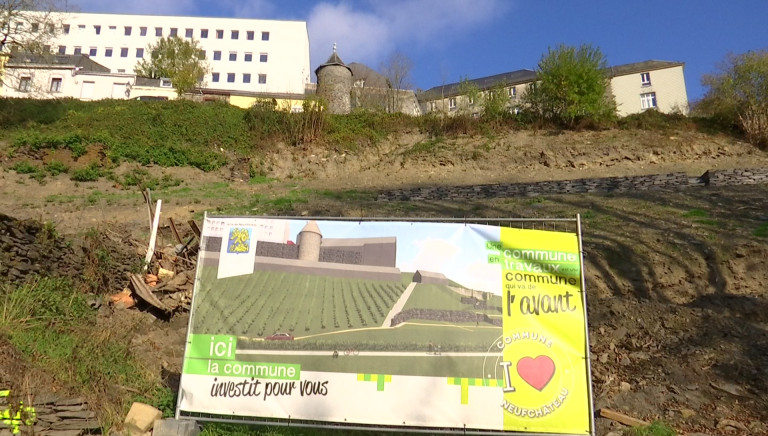 Suspension confirmée pour les travaux du futur vignoble chestrolais