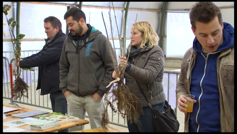 Journée de l'arbre : gros succès pour la distribution de plants à Messancy