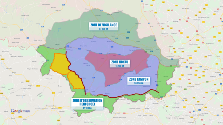 Gaume : 2e clôture, la peste progresse vers le sud-ouest !