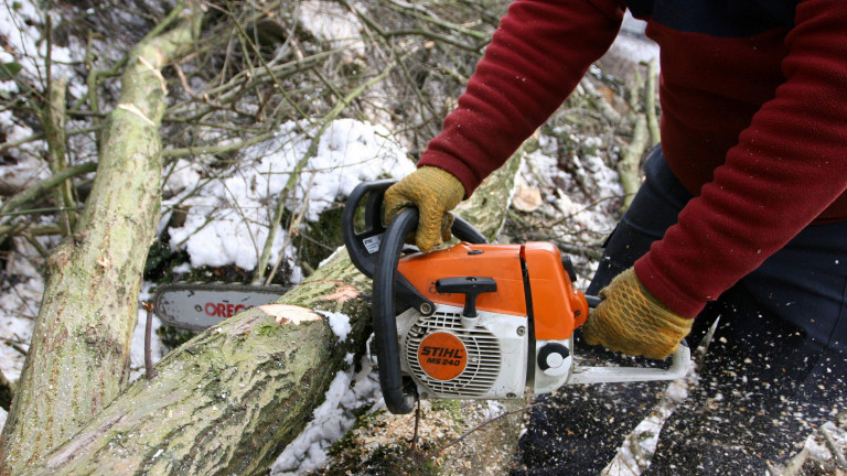 Tintigny. La seule vente de bois de chauffage est annulée