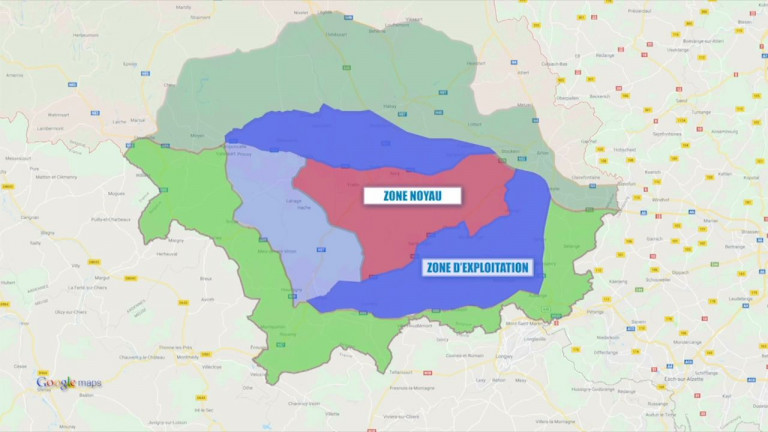  PPA : nouvelles mesures pour exploiter les bois scolytés