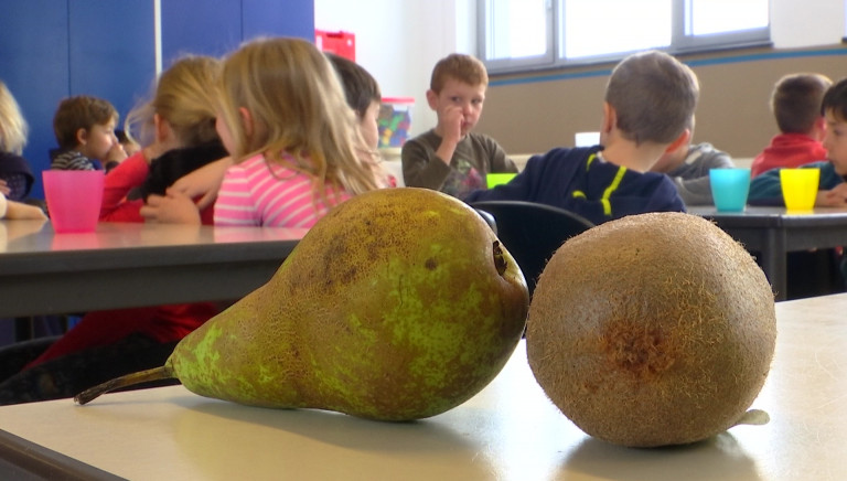 Trop de paperasserie. Des écoles abandonnent l'opération fruit