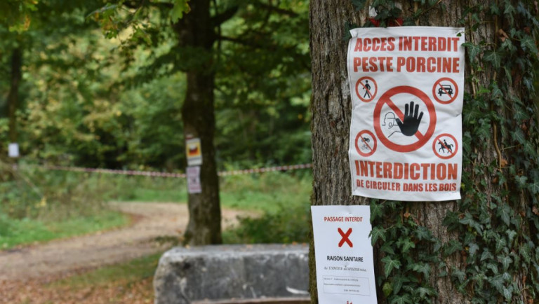 EXCLUSIF. Les forêts gaumaises rouvertes le 6 avril