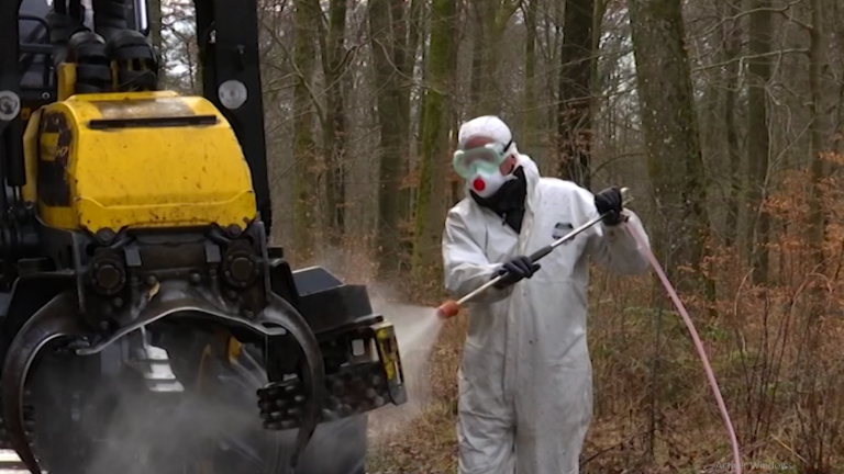 PPA. Pour les bois scolytés, les exploitants peuvent retourner en forêt