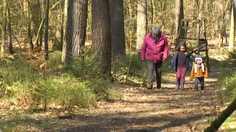 Gaume : les promeneurs profitent à nouveau de la forêt