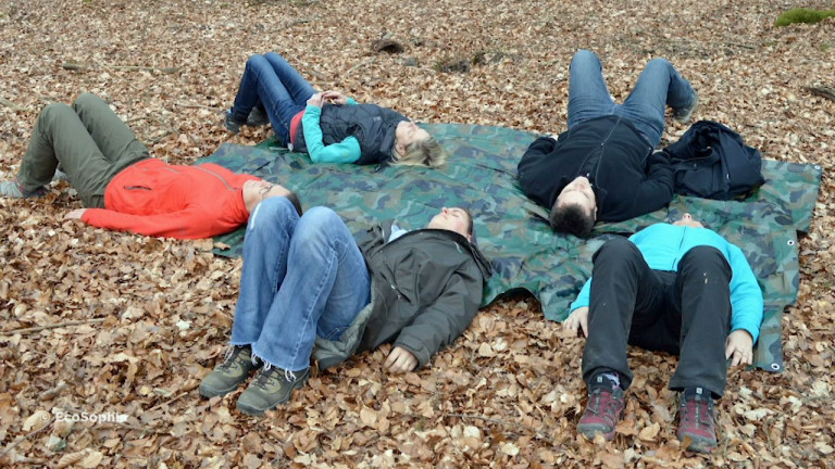 Et si vous preniez un bain de forêt à Tenneville ?