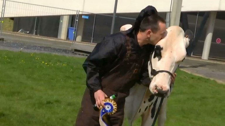 Libramont : les reines de beauté européennes de la race Holstein