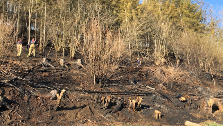 Un important feu de forêt évité entre La Roche et Rendeux