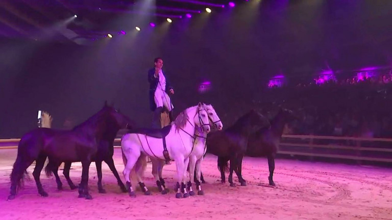 "Magic Horses", le spectacle du Wallonie Equestre Event