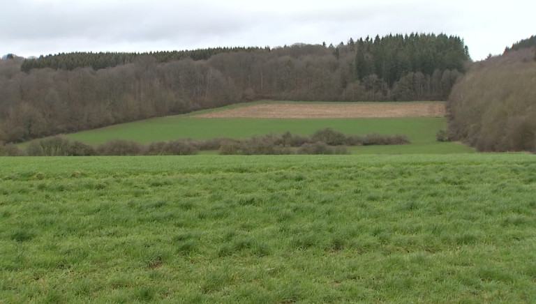 Le Parlement wallon adopte la réforme du Bail à ferme