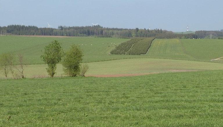 Nouveau projet éolien à Vaux-sur-Sûre