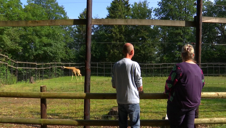 Bouillon. Le zoo respecte les règles du bien être animal 