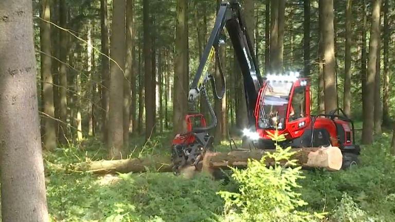 Demoforest : des démonstrations et des concours 