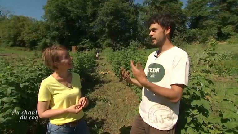 Au Chant du Coq : le WWOOFING