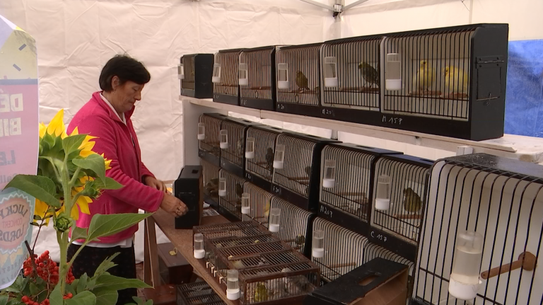Marche. Les oiseaux, toujours incontournables au marché 1900
