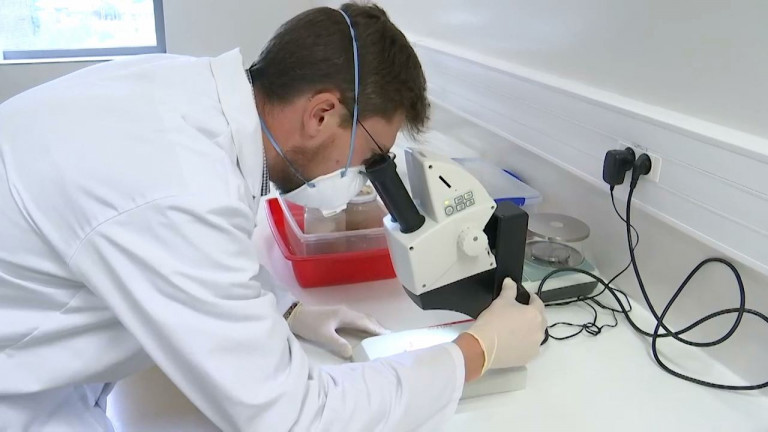 Marche : Domobios innove avec un piège pour les punaises de lit