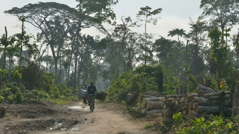 Neufchâteau: des élèves sensibilisés à la déforestation au Congo