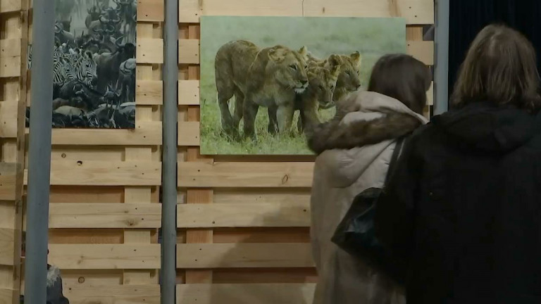 Libramont : salon et expo Instinct Nature