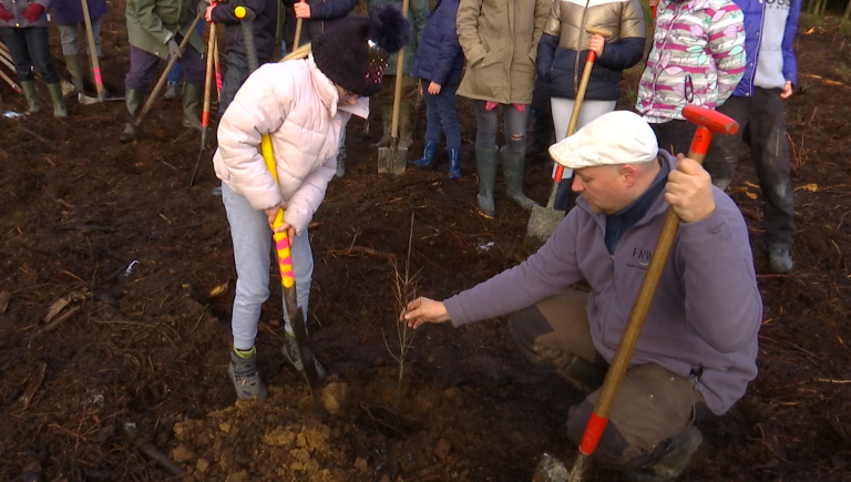 Le Bois du Climat prend forme à Vielsalm