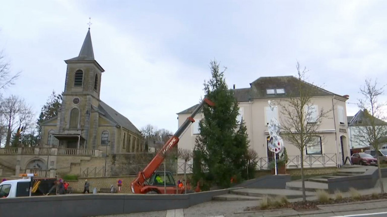 Tintigny : un sapin de Noël made in Libin