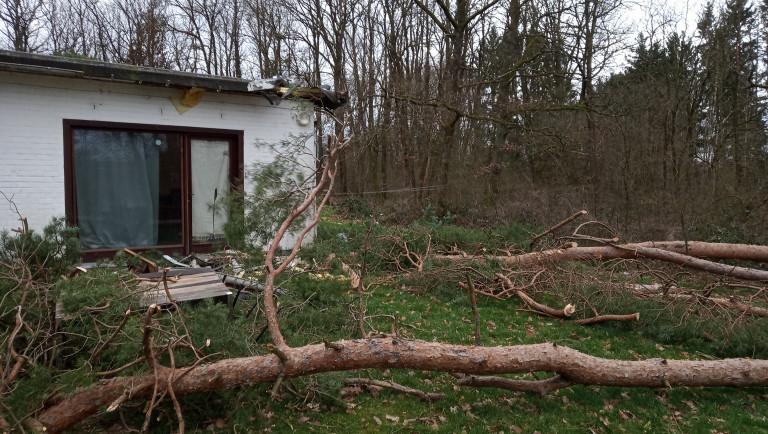 Déjà 120 interventions suite aux rafales de vent de ce dimanche