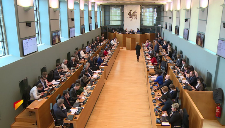 Parlement wallon : des questions luxembourgeoises centrées sur la forêt