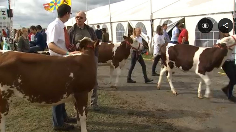 La Foire agricole de Libramont reportée en septembre ? 