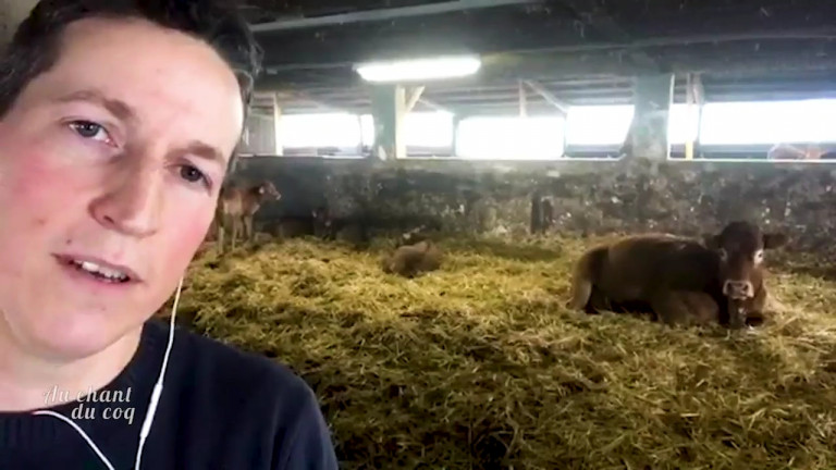 Au Chant du Coq : visites virtuelles de la ferme Louvigny