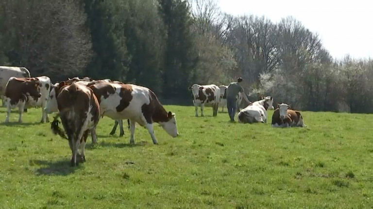 La pandémie impacte la production agricole