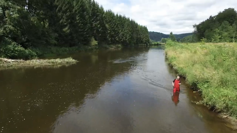 Reprise de la chasse et de la pêche ce lundi 4 mai