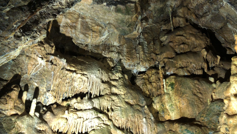 Grottes de Hotton : pas d'ouverture avant le 1er juillet