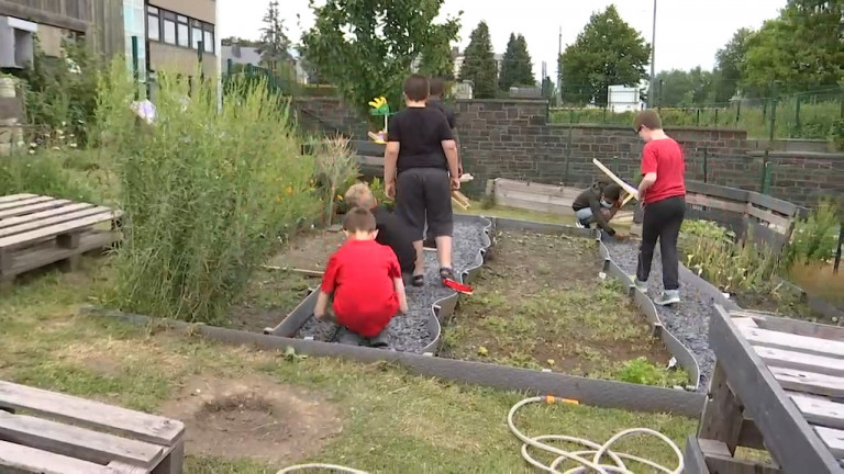 Bastogne. Un potager et un poulailler en guise d'outils pédagogiques