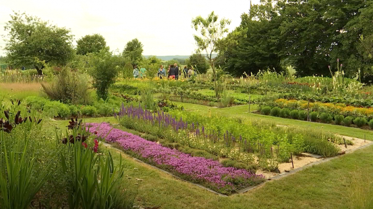 "Le Bouillon Blanc", un jardin naturel aux mille et une merveilles