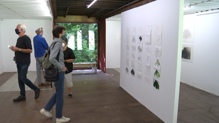 Arborescence, la nouvelle exposition visible sur le site de Montauban