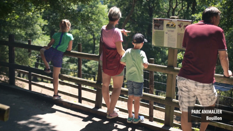 PARC ANIMALIER DE BOUILLON - Je découvre à 2 pas de chez moi