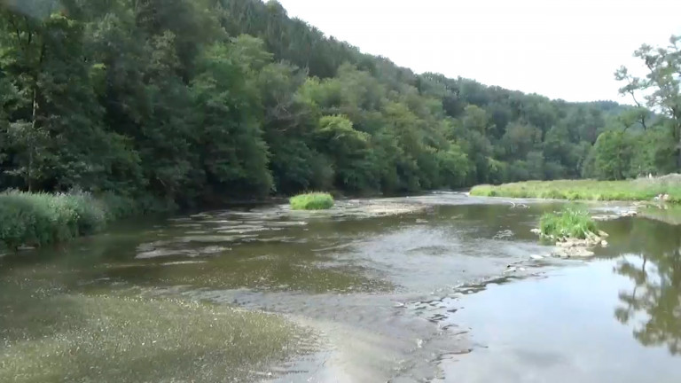 Sécheresse. Pêche interdite sur la Semois jusqu'au 31 août