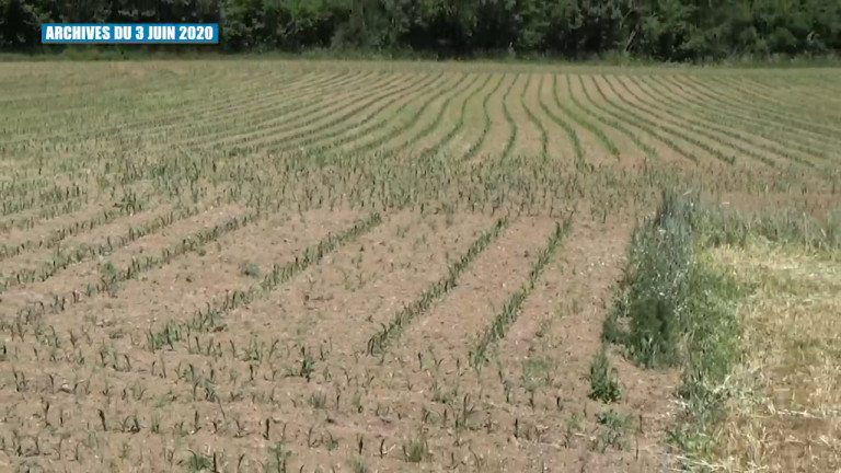 La sécheresse s'invite au débat au conseil provincial