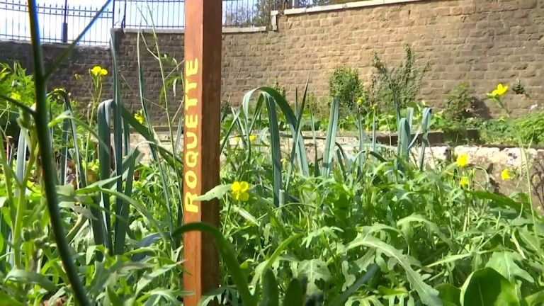 Arlon. Présentation des projets citoyens "Les Jardins du Parc"