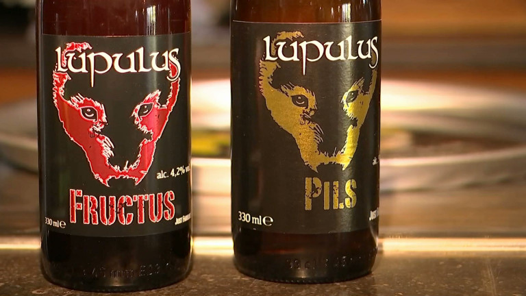 Une pils, des 33cl consignées et des projets d'agrandissement à la brasserie Lupulus!