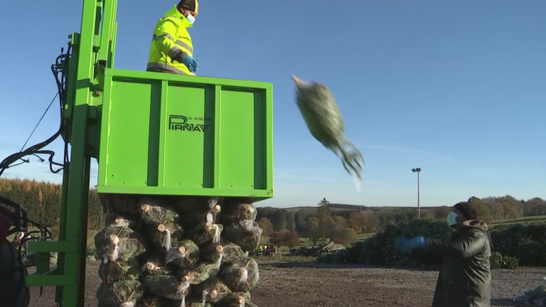 Lux Green : les sapins de Noël seront-ils acceptés en France ?