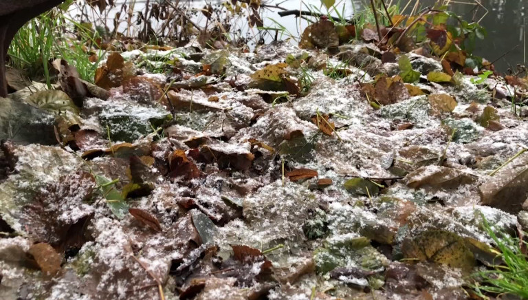 Premiers manteaux blancs sur le sud de la province et le centre Ardenne