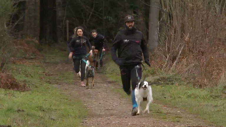 Arlon : courir avec son compagnon à quatre pattes