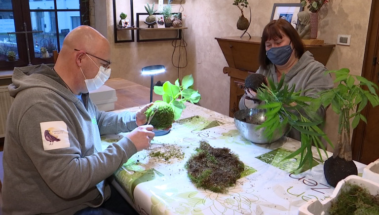 Découvrez le Kokedama: un art floral japonais mis à la sauce gaumaise par Murielle et Daniel