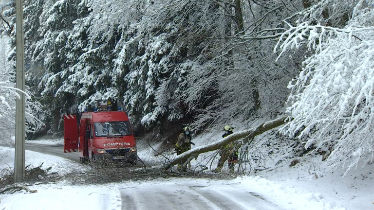 Nombreux arbres cassés à déblayer par les pompiers