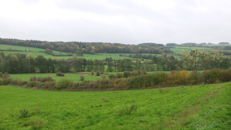 Wellin : encore plus de biodiversité dans la vallée de la Wimbe