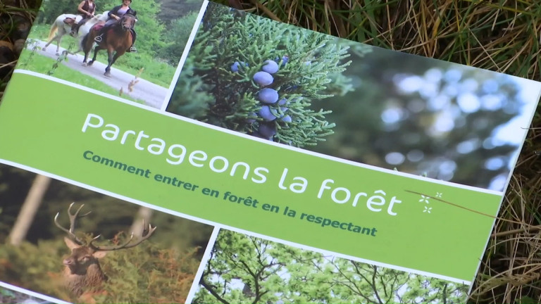 Partageons la forêt: une brochure, un site et bientôt une appli