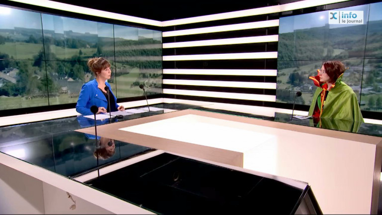 Marche-en-Famenne. Beau programme de festivités carnavalesques en ligne 