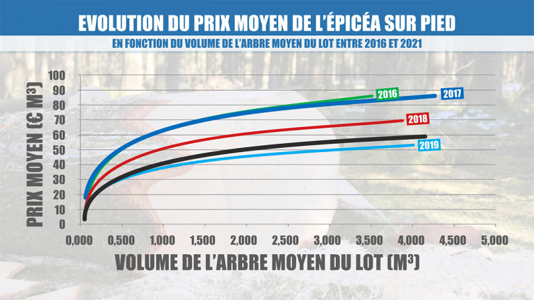 Résineux : les prix repartent à la hausse, la construction s'inquiète